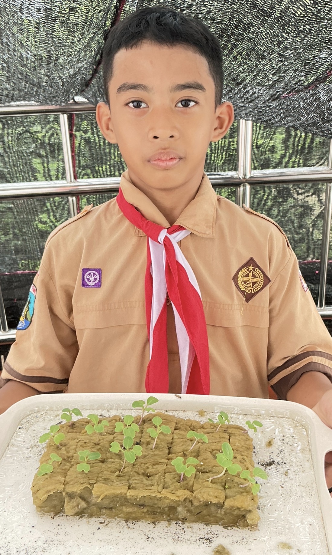 Memaknai Proses Penanaman Sayuran Pakcoy dengan Sistem Hidroponik untuk Mengasah Keterampilan Sosial Emosional Siswa